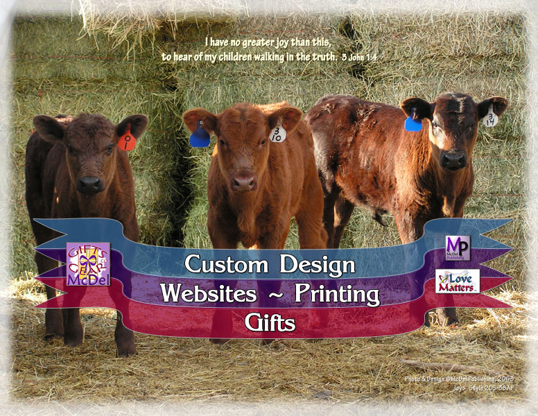 custom website design and updates in Grand Junction CO